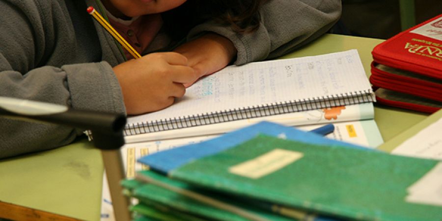 La Plataforma Estatal por la Escuela Pública exige mayor financiación para un Pacto Educativo 
